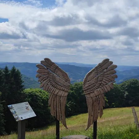 Vakantiehuis Modernes Rhombushaus Im Naturparadies Sauerland