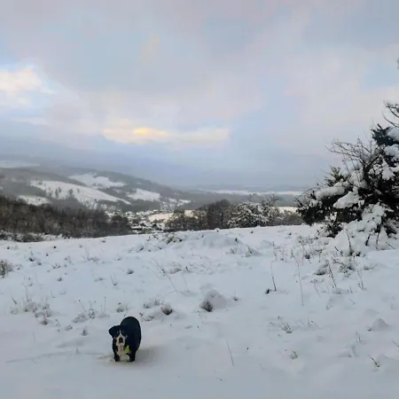 Modernes Rhombushaus Im Naturparadies Sauerland * Balve