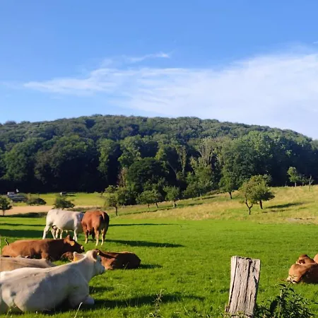 Dom wakacyjny Modernes Rhombushaus Im Naturparadies Sauerland Balve