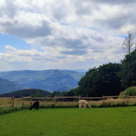 Modernes Rhombushaus Im Naturparadies Sauerland * Balve