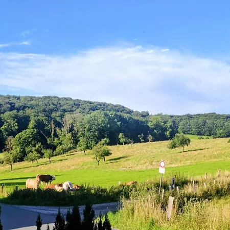 Dom wakacyjny Modernes Rhombushaus Im Naturparadies Sauerland