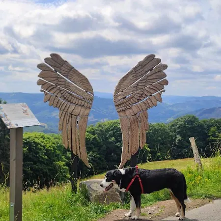 Modernes Rhombushaus Im Naturparadies Sauerland Vakantiehuis *