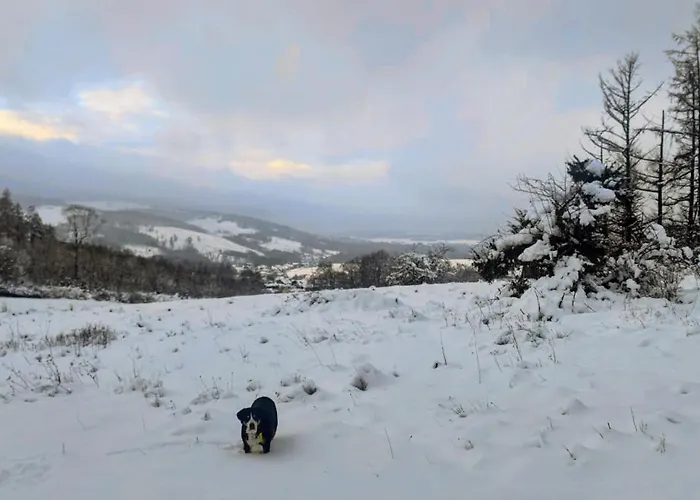 Modernes Rhombushaus Im Naturparadies Sauerland * Balve