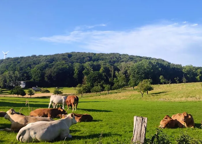Feriehus Modernes Rhombushaus Im Naturparadies Sauerland Balve