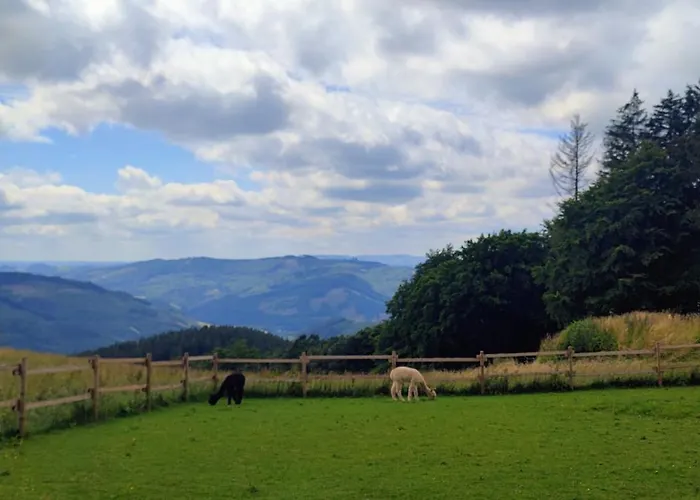 Modernes Rhombushaus Im Naturparadies Sauerland * Balve