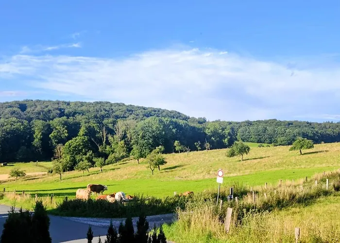Feriehus Modernes Rhombushaus Im Naturparadies Sauerland