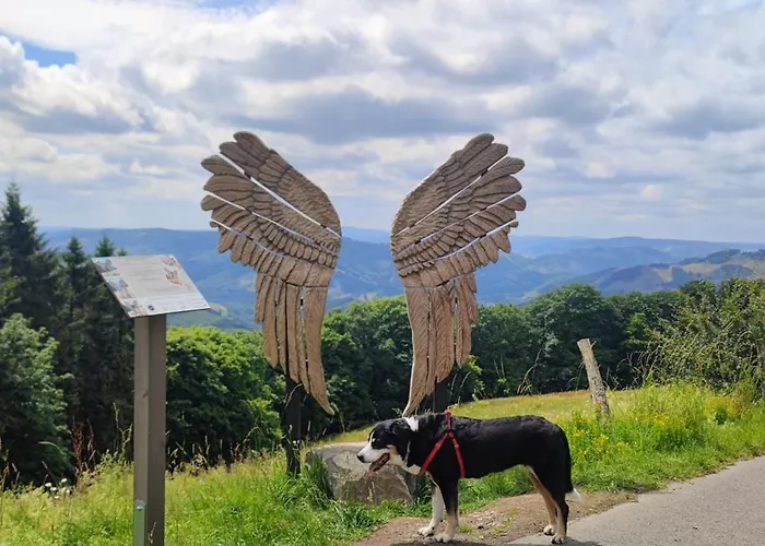 Modernes Rhombushaus Im Naturparadies Sauerland Vakantiehuis *